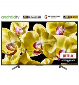 �������� Sony KD49XG8096BAEP ����