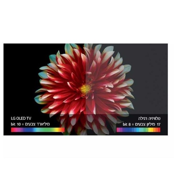 �������� LG OLED55B7Y 4K �55 ������