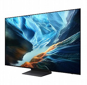 �������� ���� OLED �55 QE55S90HAEXIL ������ SAMSUNG