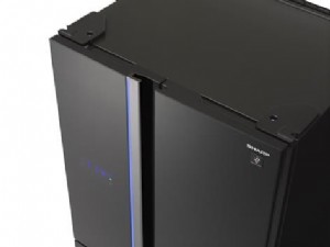 ���� ���� 4 ����� 623 ���� ������ ����� ��� SJ-FS79BK